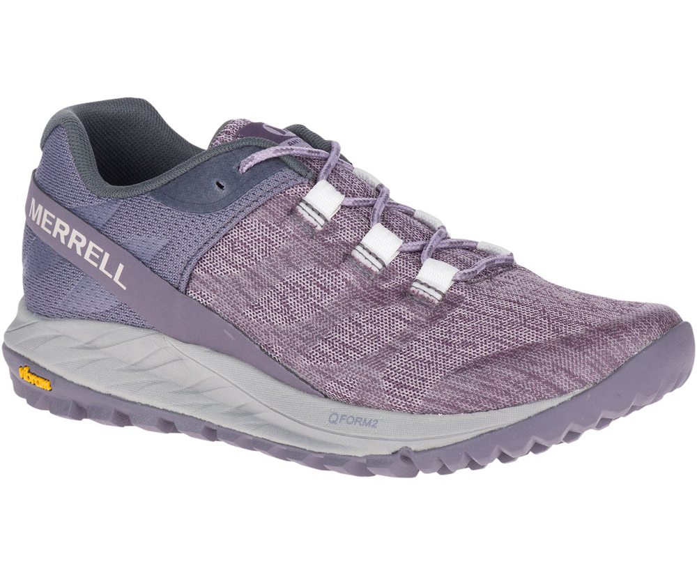 Merrell Sneakers Dame - Antora - Lilla - MDN732058
